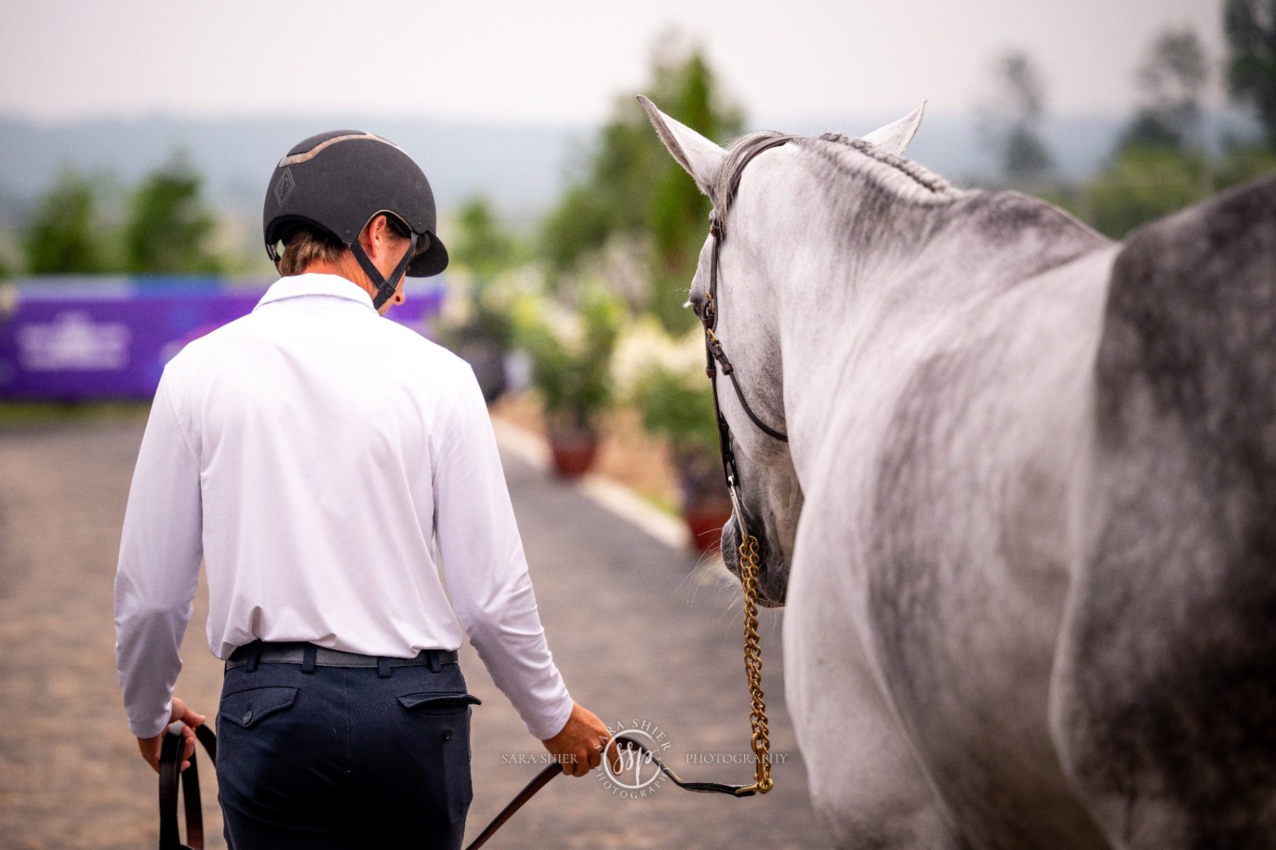 Groom hand-walking a sport horse